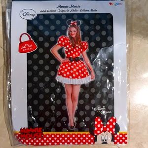 Minnie Mouse Costume
